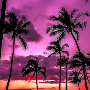 Meet your Posher, Abel